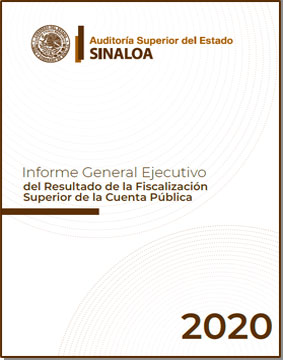 Informe_General_Ejecutivo_2020
