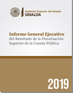 Informe_General_Executivo_2019