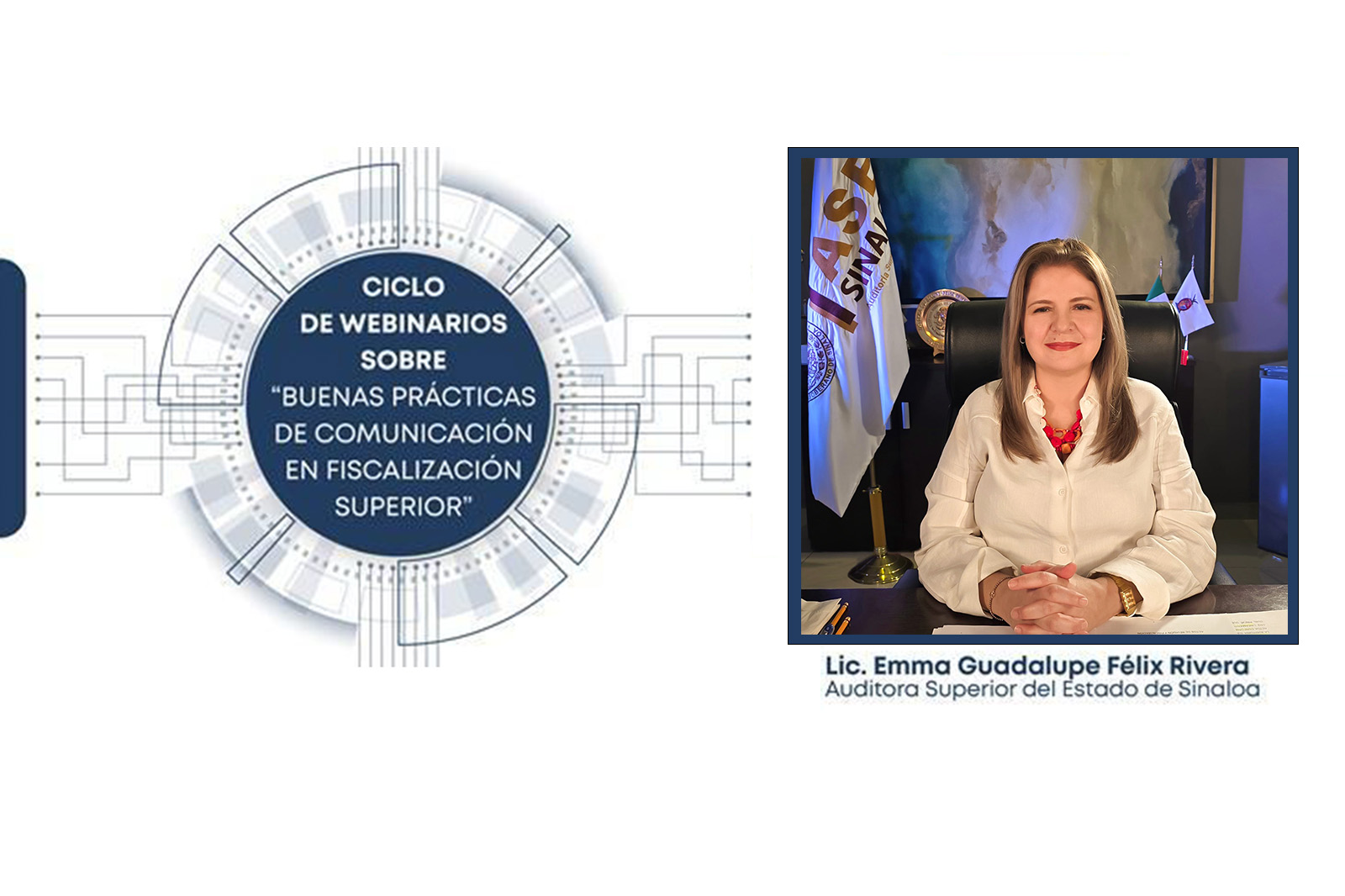 La ASE participa en la primera sesión del ciclo de Webinarios organizado por la ASF.