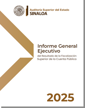 Informe_General_Ejecutivo_2025